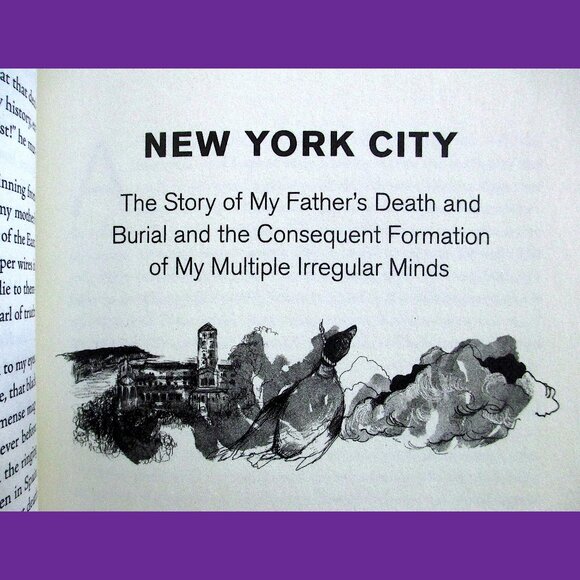 Book - Call Me Zebra: A Novel, by Azareen Van der Vliet Oloomi - Picture 9 of 14